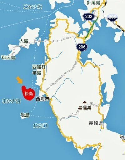 松島ココ.jpg
