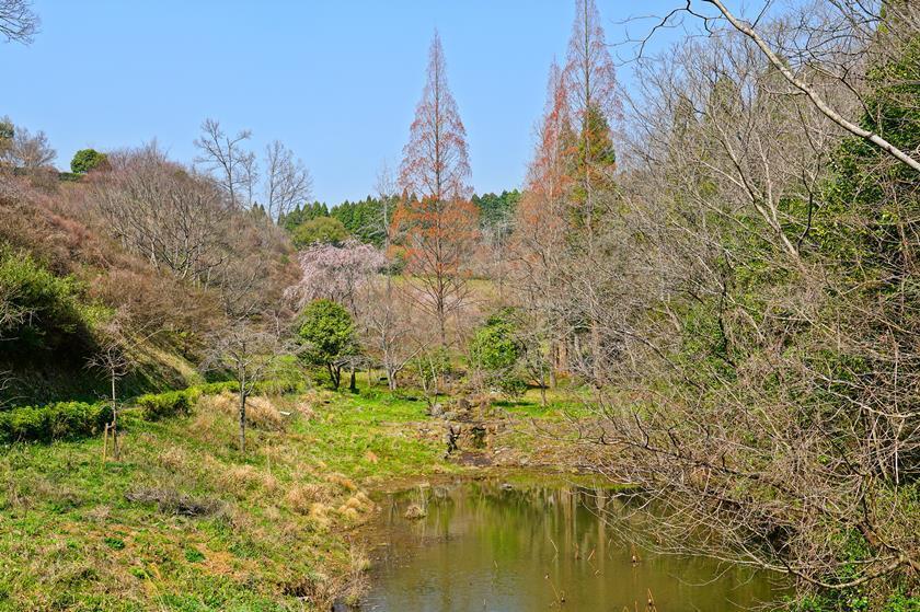 池です.JPG