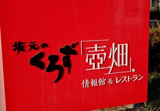 t20.JPG